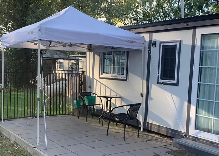 Blue Sapphire Pet Friendly Studio