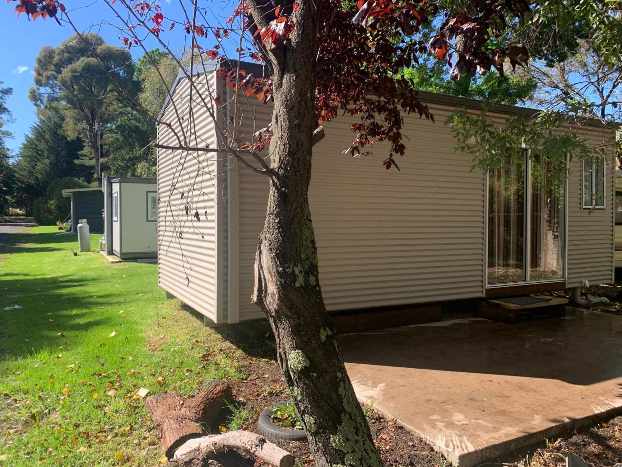 Blue Sapphire Pet Friendly Apartment Glen Innes